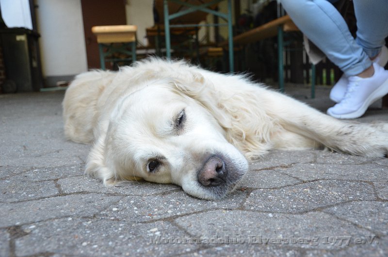 Helferfest 2022 - 019